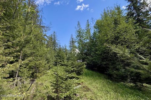 NNA Lot 4 Silver Reef Rd, Sagle, ID, 83860-9386 | Card Image