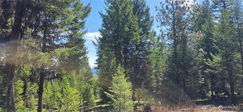 111 Tbd Wannamaker Rd, Oroville, WA, 98844 | Card Image