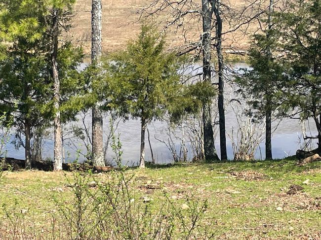 LOT-4 - 935 lot 4 Goff Rd, Home with 0 bedrooms, 0 bathrooms and null parking in Quitman AR | Image 5
