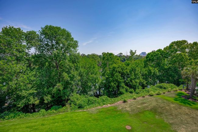 120 River Flow Ct, Townhouse with 3 bedrooms, 4 bathrooms and null parking in West Columbia SC | Image 44
