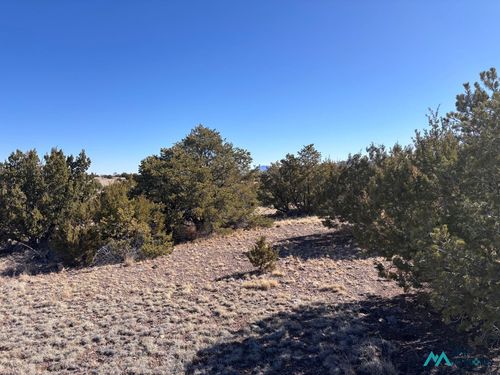 174-0 Lot 174 Pinon Springs, Magdalena, NM, 87825 | Card Image