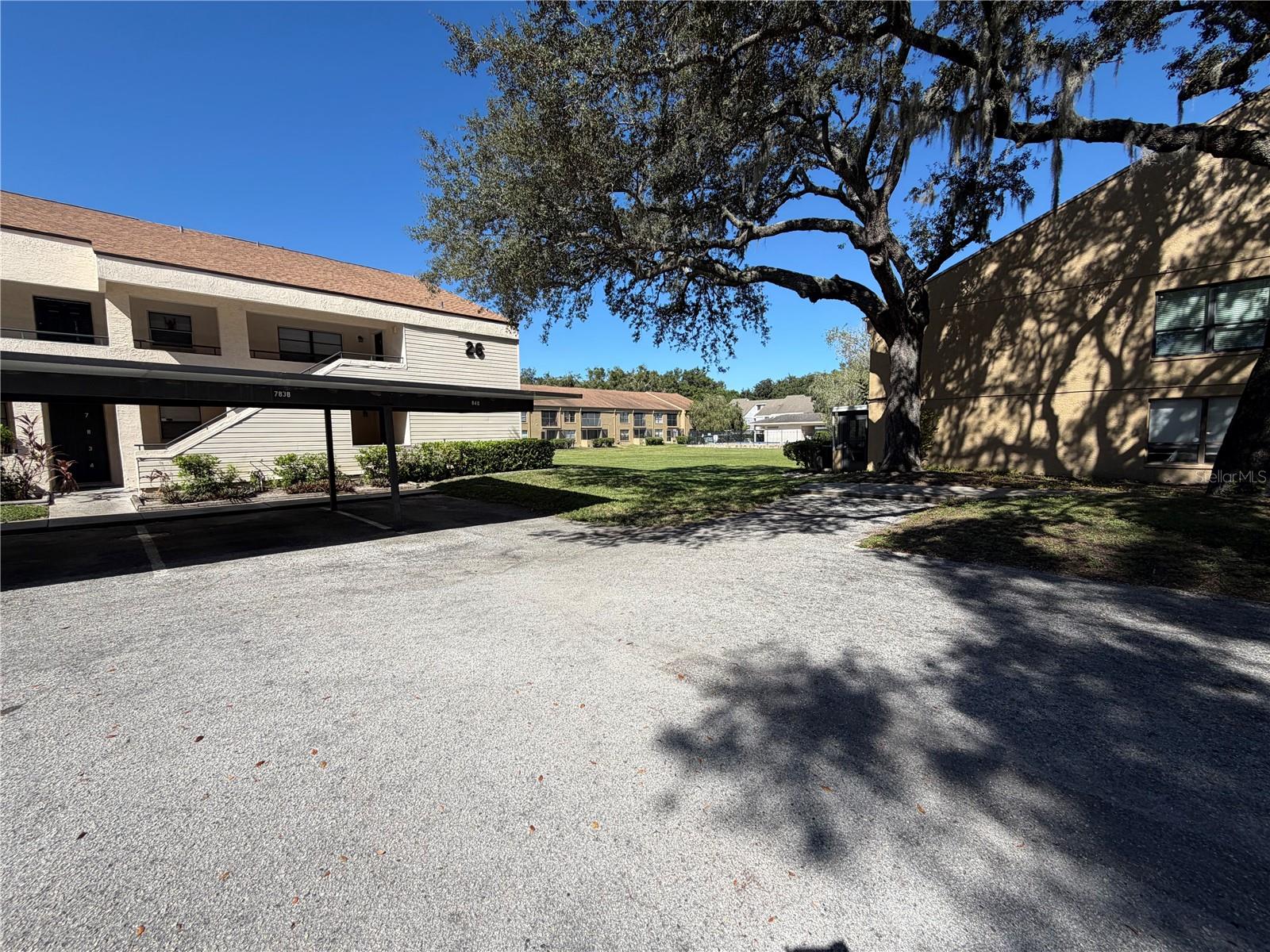 Residential in TAMPA 4