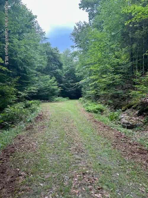 Tbd Railroad Rd, Lanesville, NY, 12450 | Card Image