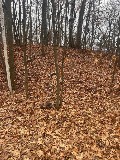 TBD Golf Course Cir, Cushing, MN, 56443 | Card Image