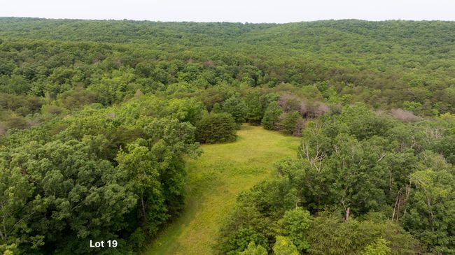 0 Long Branch Rd, Home with 0 bedrooms, 0 bathrooms and null parking in Rising Fawn GA | Image 17