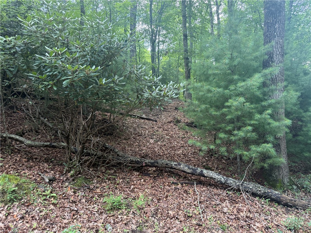 Land in West Jefferson