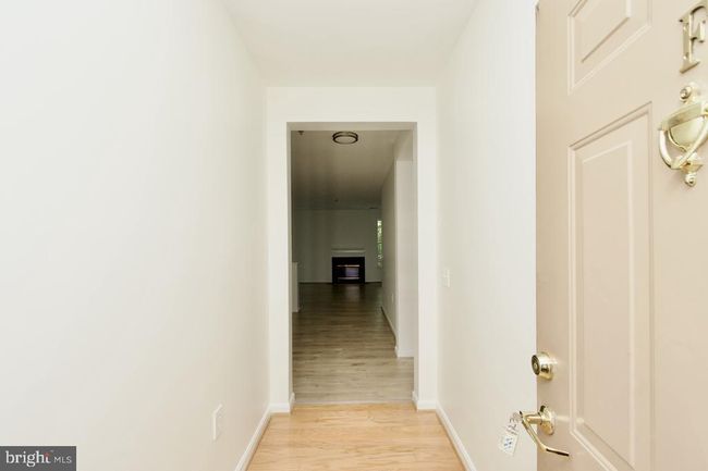 Image | Image 7