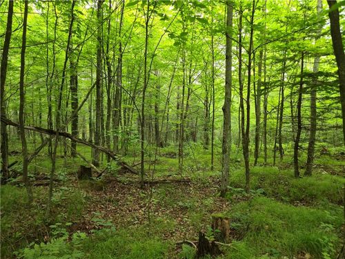 Lot 31 &amp; 32 Woodcrest Drive, Cable, WI, 54821 | Card Image