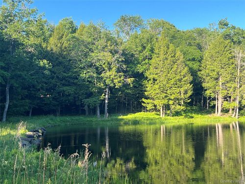 4 Cold Creek Pass, Parksville, NY, 12768-5702 | Card Image