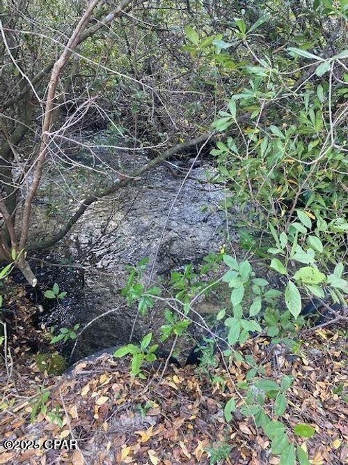 21526 Nw Isoletta Ln, Altha, FL, 32421-3884 | Card Image