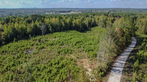 0 Pettijohn Creek Rd, Henry, TN, 38231 | Card Image