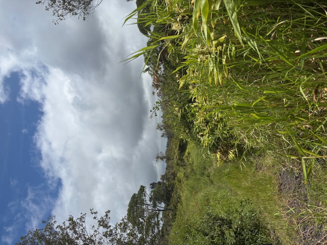 Land in Volcano 2