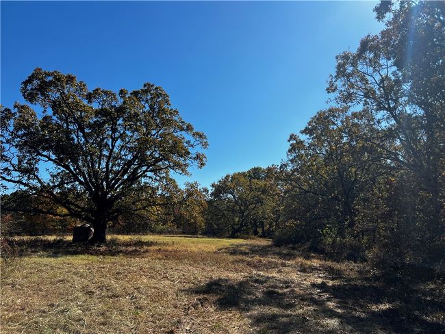 8 N Mt Olive Road, Home with 0 bedrooms, 0 bathrooms and null parking in Gravette AR | Image 8