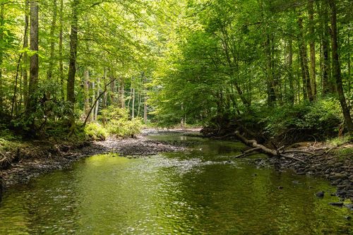 1.95 AC Steel Tram Rdg, Crawford, TN, 38554 | Card Image