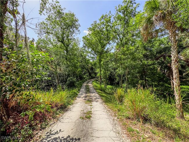 View of street with a view of trees | Image 26