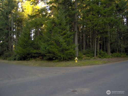 10211 Tahoma Dr, Anderson Island, WA, 98303-8654 | Card Image