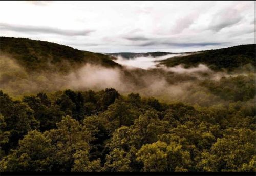 7342 Madison 3605, Kingston, AR, 72742 | Card Image