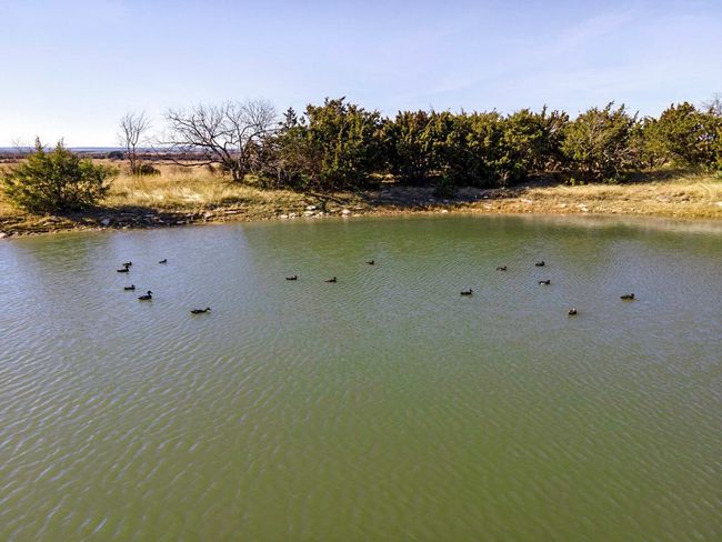 854 County Road 131, Home with 0 bedrooms, 0 bathrooms and null parking in Gatesville TX | Image 33