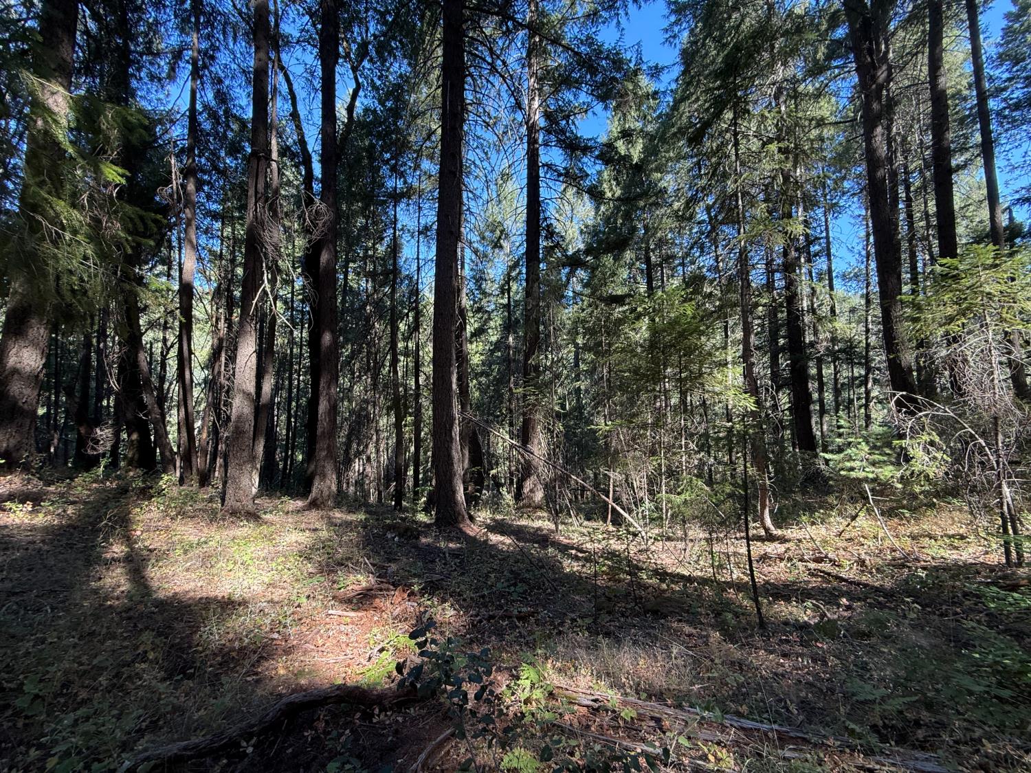 Land in Emigrant Gap 4