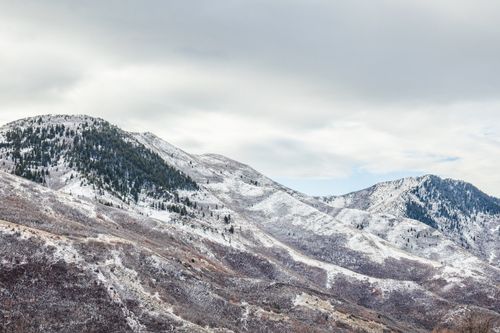 195-5855 Pioneer Ridge Cir, Salt Lake City, UT, 84108-1651 | Card Image