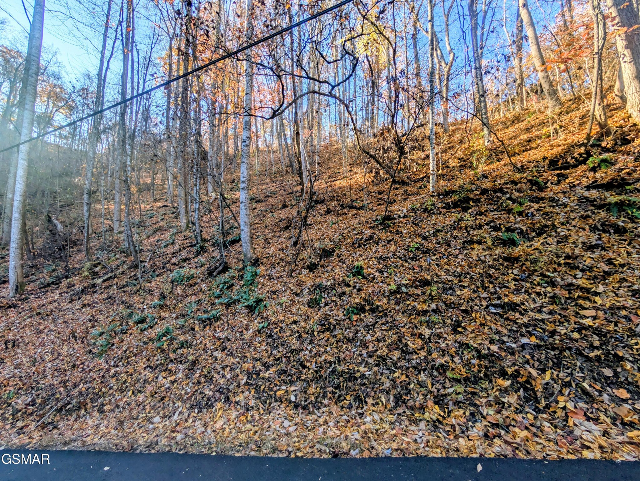 Land in Sevierville 2