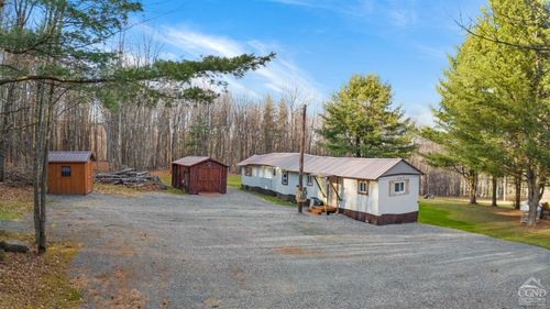 165 Lawrence Mountain Road, Gilboa, NY, 12167 | Card Image