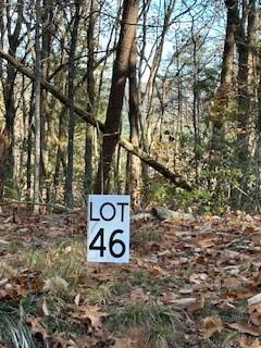 Land in Dawsonville