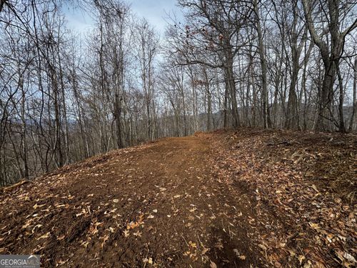 20 ACRES Burnt Leaf Ln, Hayesville, NC, 28904 | Card Image