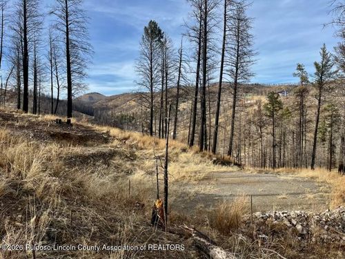 116 Bluebelle Ln, Ruidoso, NM, 88345-9084 | Card Image