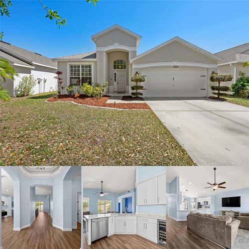 11009 Silver Dancer Dr, RIVERVIEW, FL, 33579-2352 | Card Image