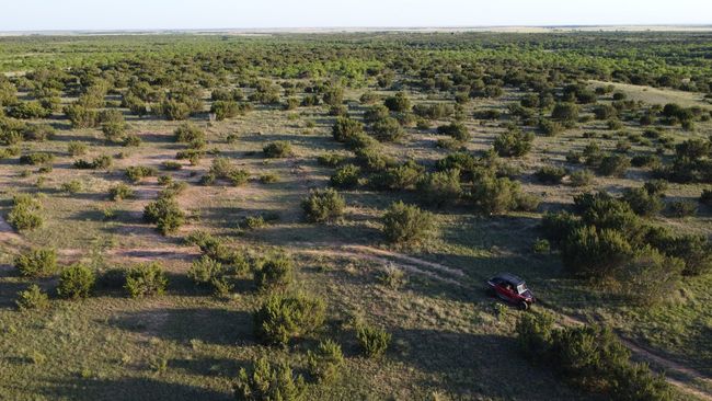 3609 Fm 1086, Home with 0 bedrooms, 0 bathrooms and null parking in Ovalo TX | Image 25