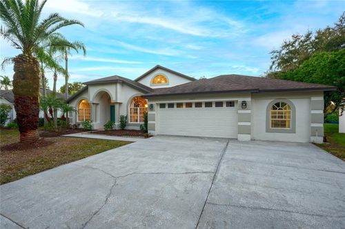 15014 Arbor Hollow Dr, ODESSA, FL, 33556-3142 | Card Image