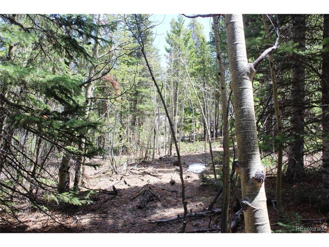 435 Aspen Rd, Home with 0 bedrooms, 0 bathrooms and null parking in Black Hawk CO | Image 17