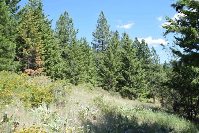 1555 Comstock Mine Rd, Home with 0 bedrooms, 0 bathrooms and null parking in Colville WA | Image 10