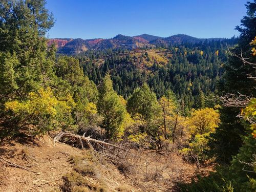 22 Bonnie Green Dr, Alton, UT, 84710 | Card Image