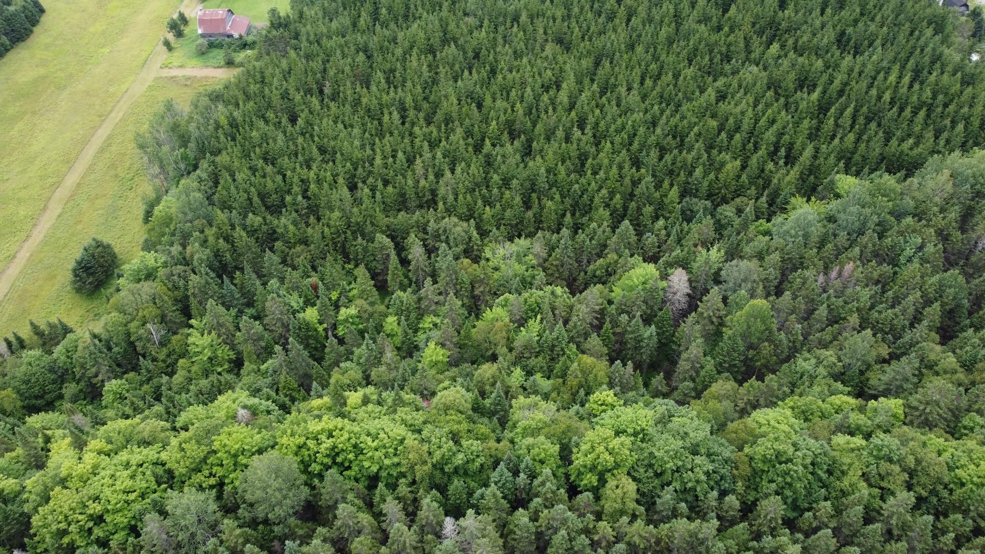 Land in Unknown 5