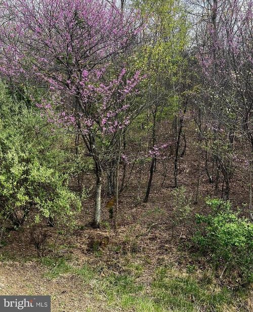 Lot J Annandale Dr, GERRARDSTOWN, WV, 25420-4449 | Card Image