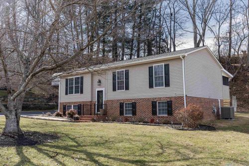 163 Larch Ave, BUENA VISTA, VA, 24416 | Card Image