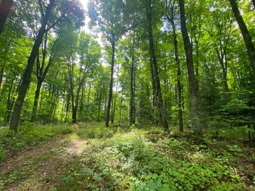 NEAR Schmidt Ln, Argonne, WI, 54511 | Card Image