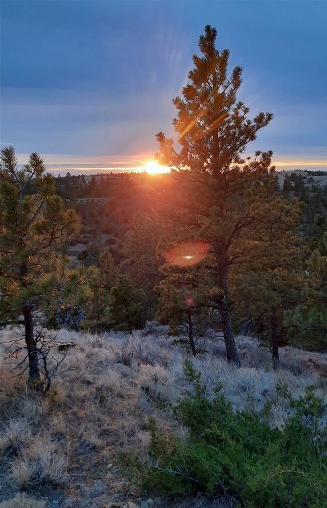 SC-25 - TBD Lone Rock Canyon Lane, Home with 0 bedrooms, 0 bathrooms and null parking in Hysham MT | Image 56