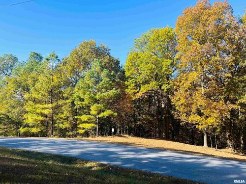 Lot 39 & 40 Luxor Landing Lane, Goreville, IL, 62939 | Card Image