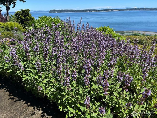 212 Tala Shore Drive, House other with 3 bedrooms, 5 bathrooms and 3 parking in Port Ludlow WA | Image 27