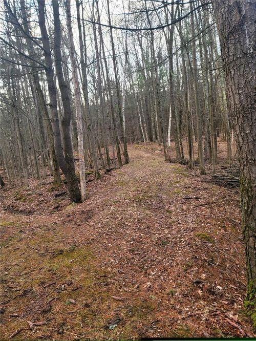 000 State Highway 28 S, Oneonta, NY, 13820 | Card Image