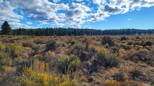 1400-and-1500-0 Tableland Rd, Chiloquin, OR, 97624 | Card Image