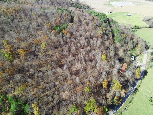 6310 Highway 200, Monticello, KY, 42633-6609 | Card Image