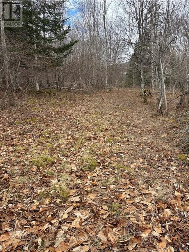 4640 Rte 127, Home with 0 bedrooms, 0 bathrooms and null parking in Chamcook NB | Image 8
