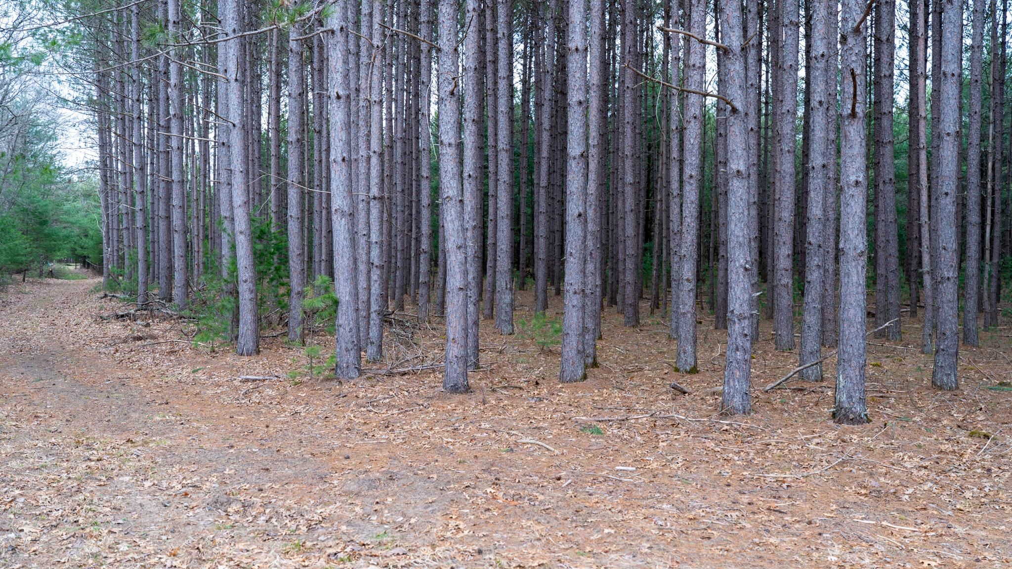 Land in Adams 3