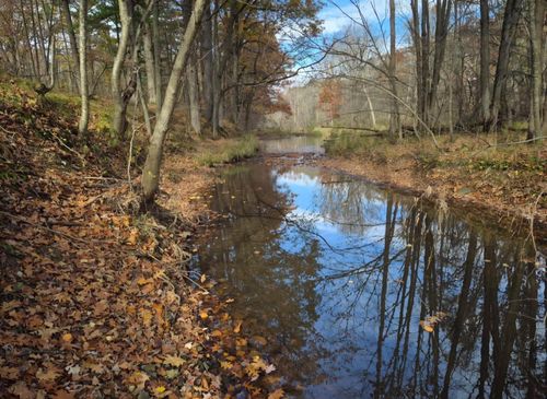 5106 Arpin Hansen Road, ARPIN, WI, 54489 | Card Image