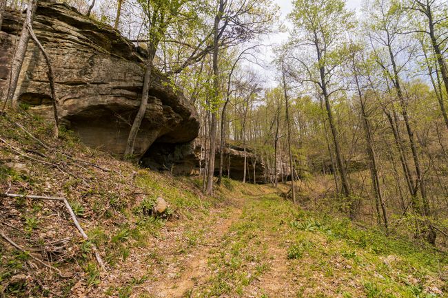 9999 Highway 52 E, Home with 0 bedrooms, 0 bathrooms and null parking in Beattyville KY | Image 45