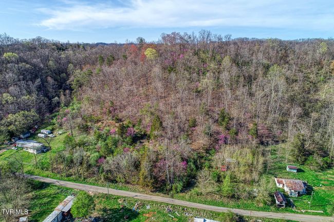 000 Sensabaugh Hollow Rd, Home with 0 bedrooms, 0 bathrooms and null parking in Church Hill TN | Image 14